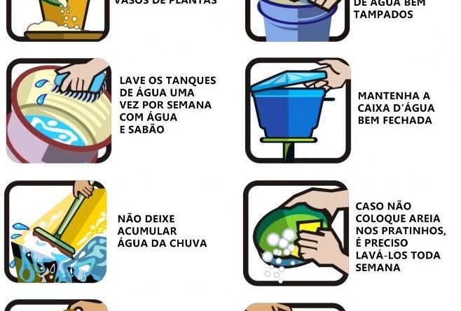 Dicas de como evitar a dengue