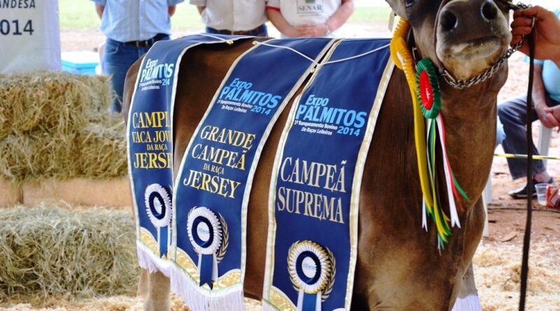 Vaca Campeã suprema - Mário Jantsch - Iporã do Oeste